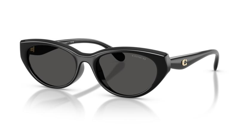 Coach HC8456D Cdp42 Sunglasses