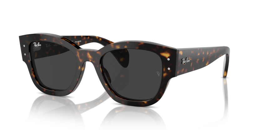Ray-Ban RB7681SF Jorge Sunglasses