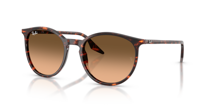 Ray-Ban RB2204  Sunglasses