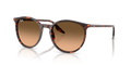 Ray-Ban RB2204  Sunglasses