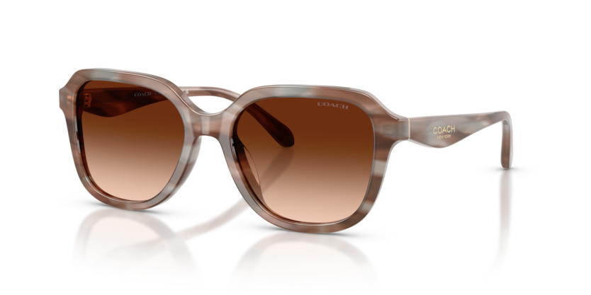 Coach HC8437U Cby87 Sunglasses