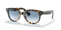 Ray-Ban RB2199 Orion Sunglasses