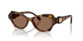 Swarovski SK6050  Sunglasses