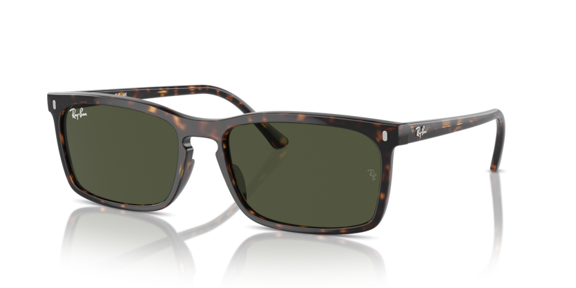 Ray-Ban RB4435  Sunglasses