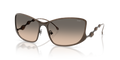 Diesel DL1013  Sunglasses