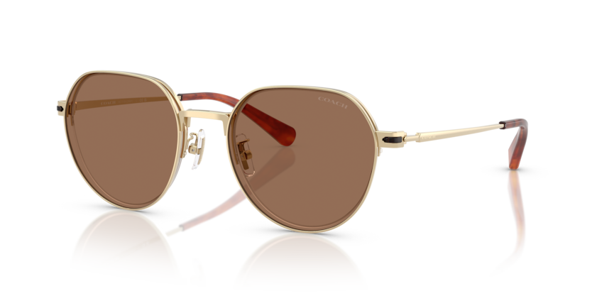Coach HC7179 Cae81 Sunglasses