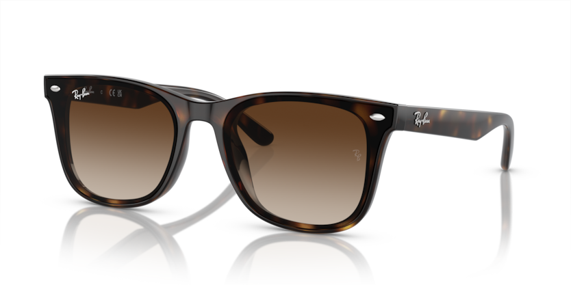 Ray-Ban RB4420  Sunglasses