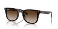 Ray-Ban RB4420  Sunglasses