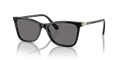Swarovski SK6004F  Sunglasses