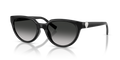 Tiffany TF4256D  Sunglasses