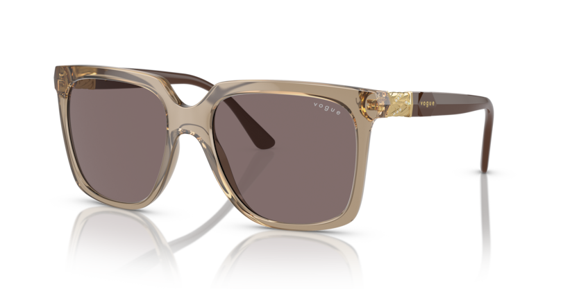 Vogue VO5476SB  Sunglasses