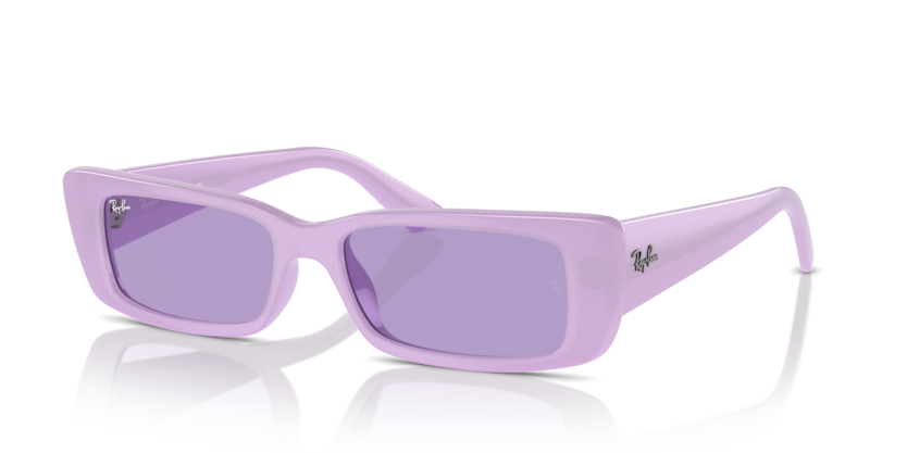 Ray-Ban RB4425 Teru Sunglasses