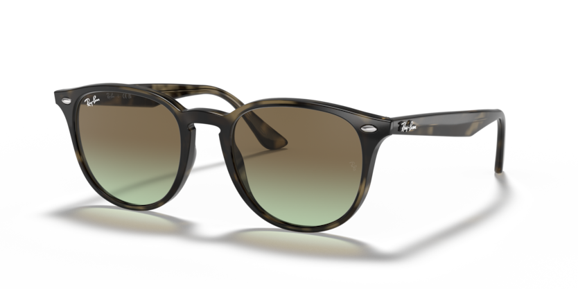Ray-Ban RB4259  Sunglasses