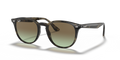 Ray-Ban RB4259  Sunglasses