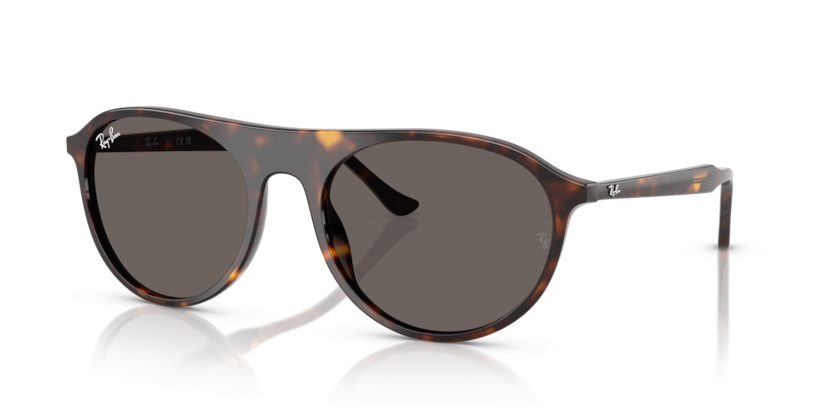 Ray-Ban RB2215  Sunglasses