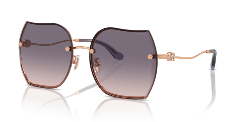 Coach HC7146BD Cd454 Sunglasses
