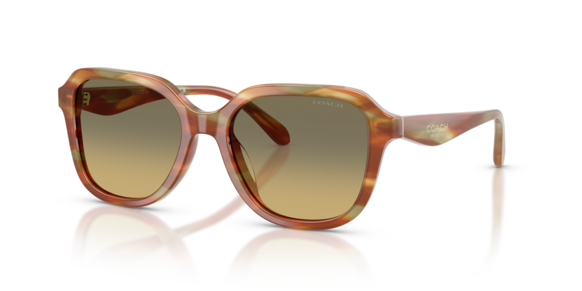 Coach HC8437U Cby87 Sunglasses