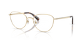 Swarovski SK1029D  Eyeglasses