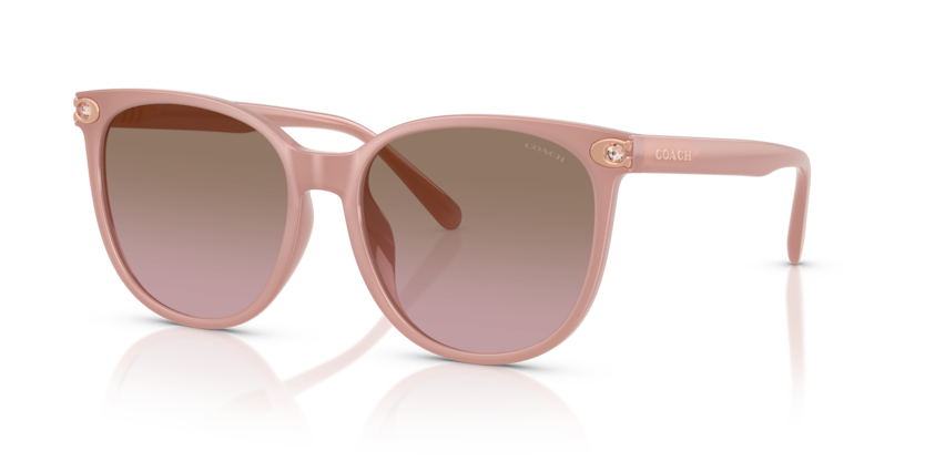 Coach HC8414BD Cw428 Sunglasses
