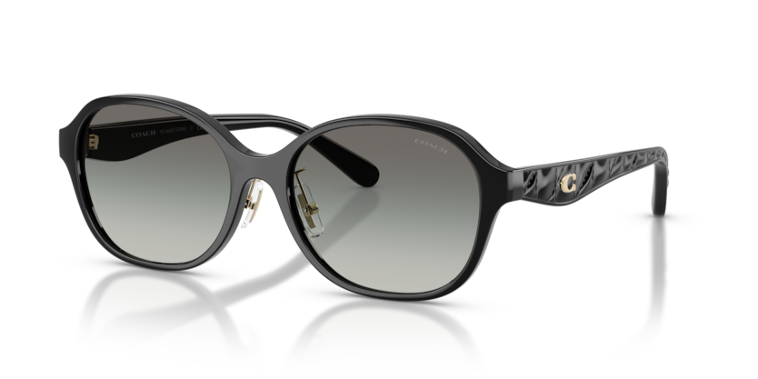 Coach HC8445D Cby85 Sunglasses