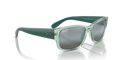 Ray-Ban RB4388  Sunglasses