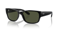 Ray-Ban RB4388  Sunglasses