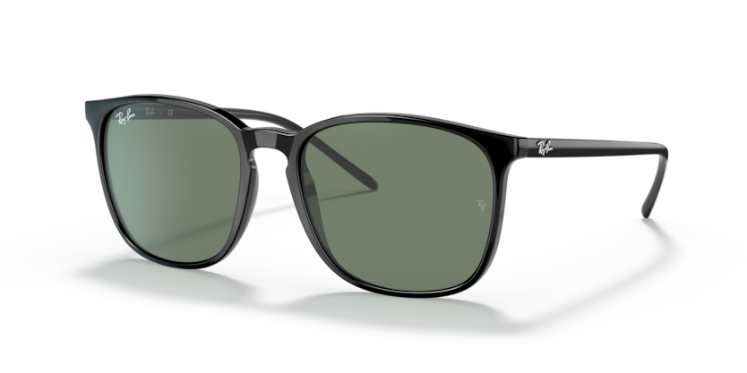 Ray-Ban RB4387F  Sunglasses