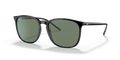 Ray-Ban RB4387F  Sunglasses