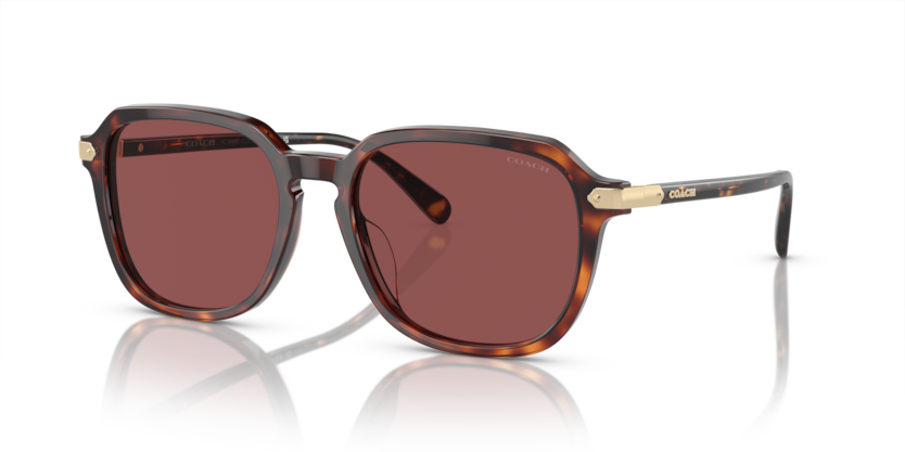 Coach HC8383U Cl912 Sunglasses