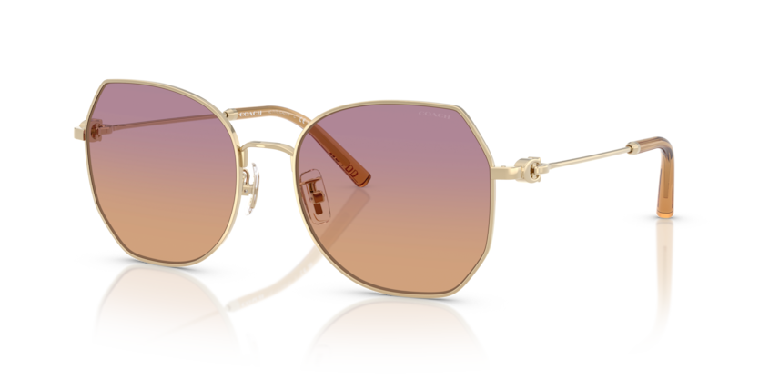 Coach HC7175 Cad79 Sunglasses