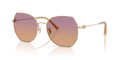 Coach HC7175 Cad79 Sunglasses