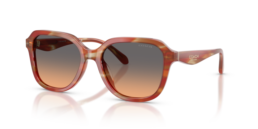 Coach HC8437U Cby87 Sunglasses