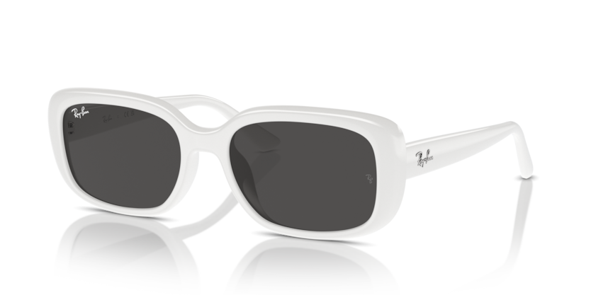 Ray-Ban RB4421D  Sunglasses