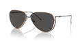 Diesel DL1003  Sunglasses