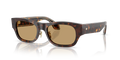 Giorgio Armani AR8224  Sunglasses