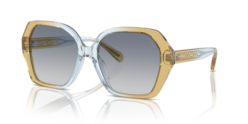 Coach HC8404U Cr615 Sunglasses