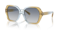 Coach HC8404U Cr615 Sunglasses