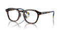 Polo PH2278D  Eyeglasses