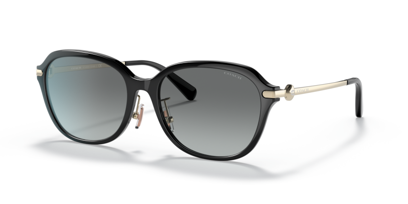 Coach HC8332D C6199 Sunglasses