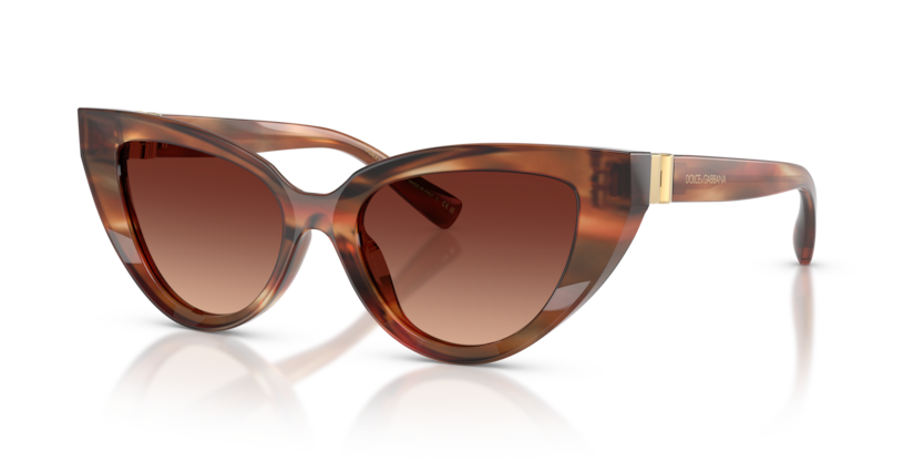Dolce & Gabbana DG4497  Sunglasses