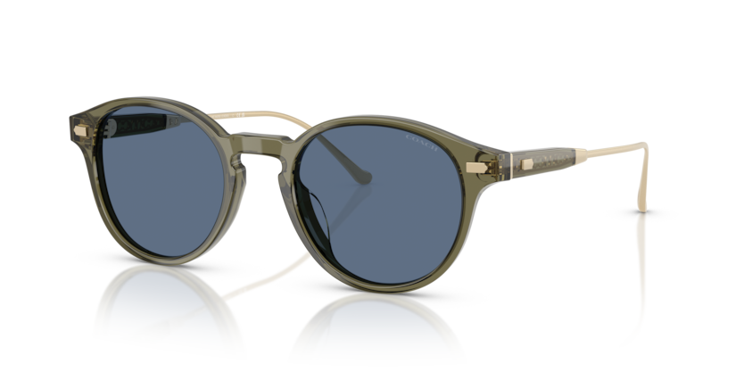 Coach HC8428U Cad83 Sunglasses