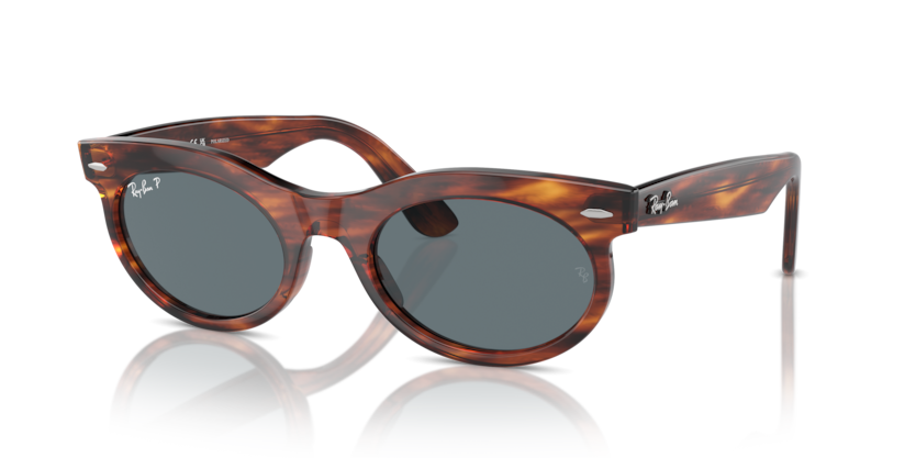 Ray-Ban RB2242 Wayfarer Oval Sunglasses