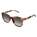 Chloé CH0375SK Sunglasses