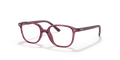 Ray-Ban Junior Vista RY9093V Junior Leonard Eyeglasses Kids