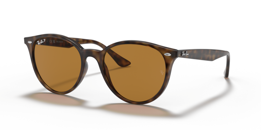 Ray-Ban RB4305  Sunglasses