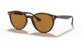 Ray-Ban RB4305  Sunglasses
