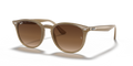Ray-Ban RB4259  Sunglasses