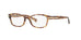 Coach HC6065  Eyeglasses