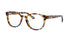 Coach HC6102  Eyeglasses