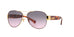 Coach HC7059 L138 Sunglasses